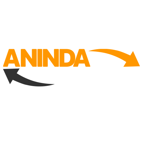 ANINDA PayPay